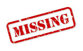 வீட்டில் இருந்த வாலிபர் மாயம்