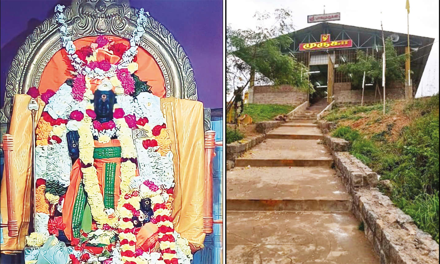 சின்ன வடுகந்தாங்கல் பாலமுருகன் கோவில் நாக தேவதைகள் கும்பாபிஷேக விழா நாளை நடக்கிறது