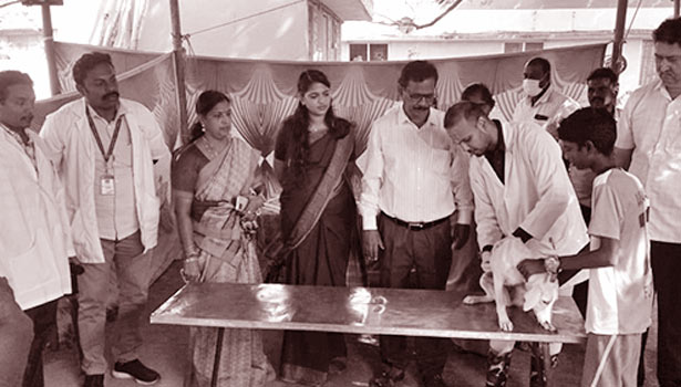 மீஞ்சூரில் 163 செல்ல பிராணிகளுக்கு தடுப்பூசி