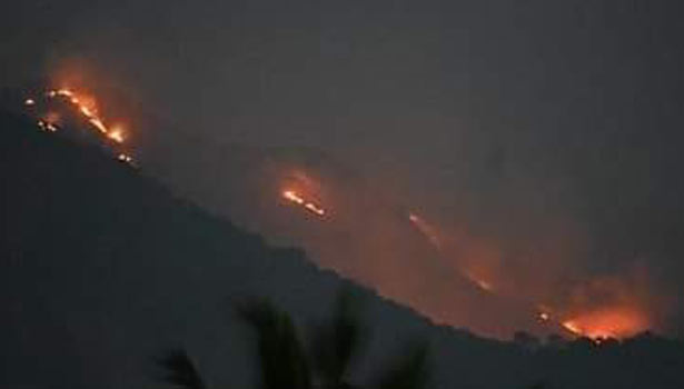 ஏற்காடு மலையில் பரவி வரும் தீ விபத்து- மரங்கள், செடிகள் கருகியது