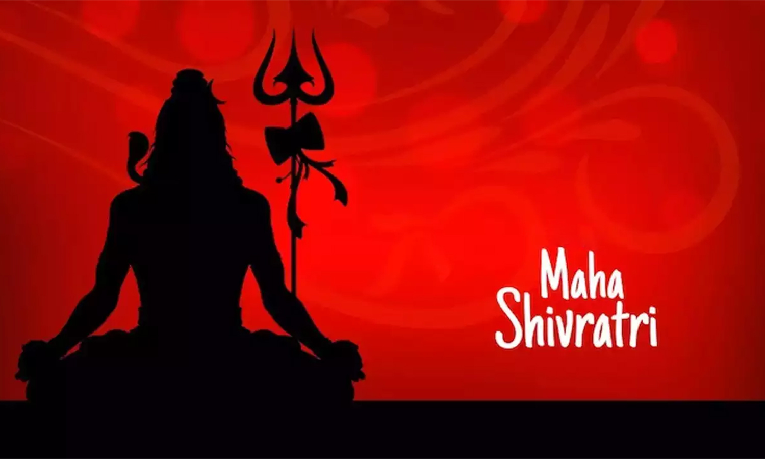 பாளையங்கோட்டையில் 18-ந்தேதி இரவு நெல்லையப்பர் கோவில் சார்பில் மகா சிவராத்திரி விழா