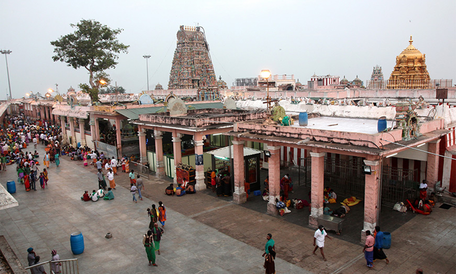 மகா சிவராத்திரியையொட்டி இரவு முழுவதும் பழனி முருகன் கோவிலில் சிறப்பு பூஜைகள்