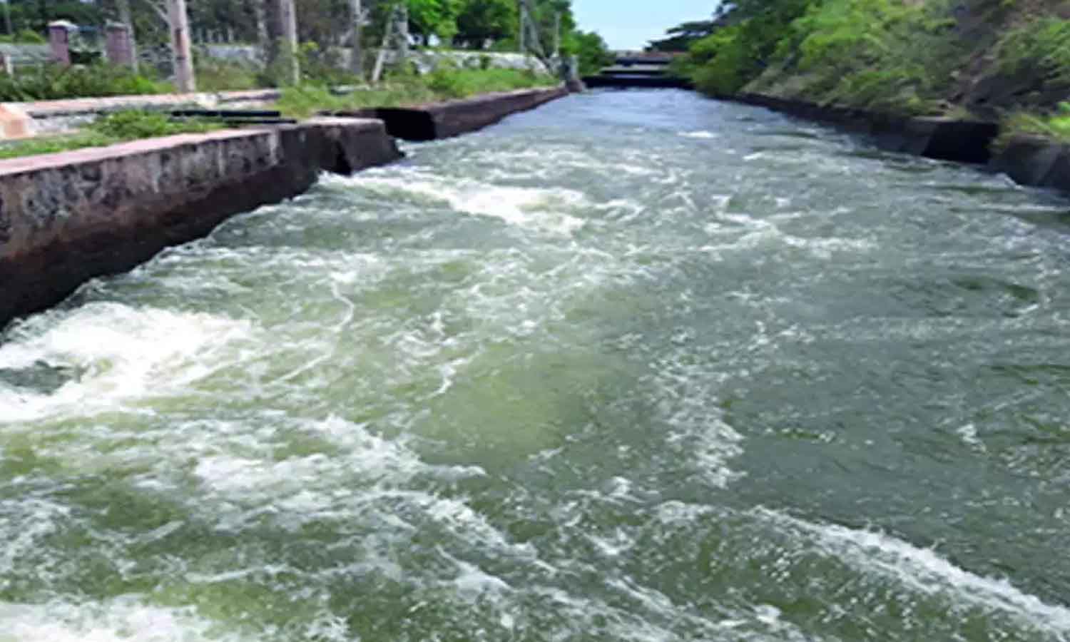 பி.ஏ.பி., வாய்க்காலில் உடைத்து   வீசப்படும் மதுபாட்டில்கள் - விவசாயிகள், கால்நடைகள் பாதிப்பு