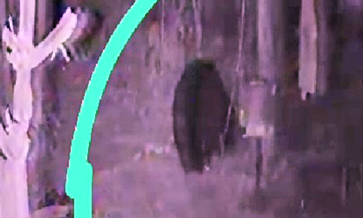 கடையம் அருகே தோட்டத்தில் தேன்கூடுகளை சேதப்படுத்தும் கரடிகள்