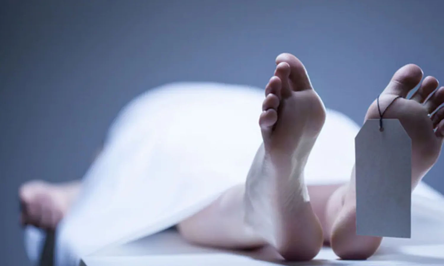 பாம்பு கடித்து தொழிலாளி சாவு