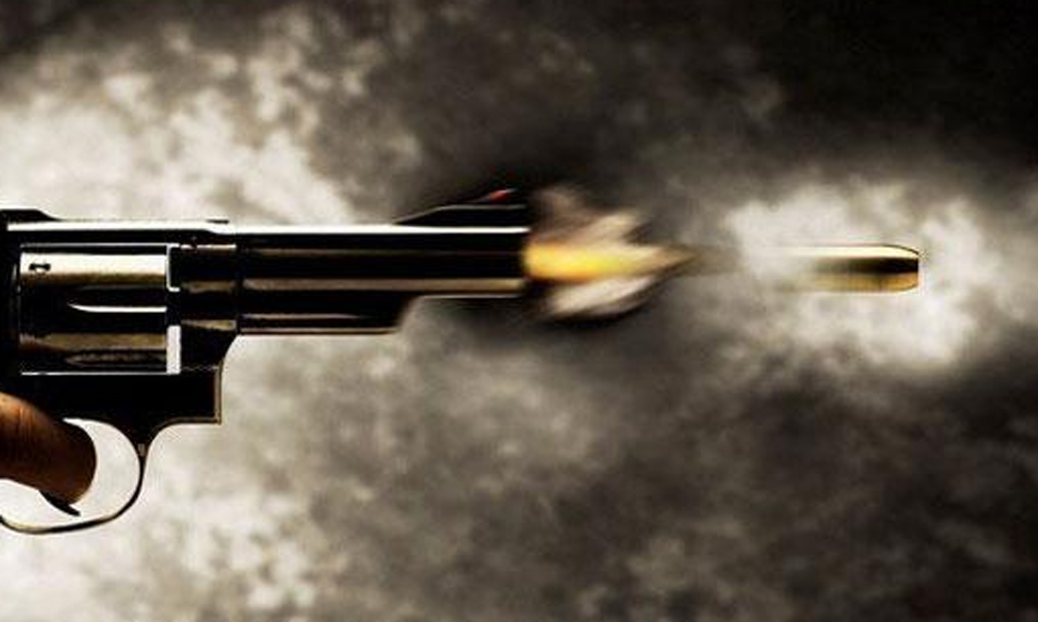 ரவுடி மீது துப்பாக்கி சூடு: 2 போலீசாரை வெட்டி விட்டு தப்பியதால் பெண் சப்-இன்ஸ்பெக்டர் அதிரடி நடவடிக்கை