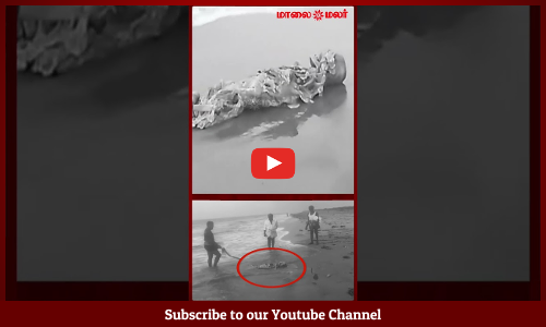 Nagapattinam | கடற்கரையில் கரை ஒதுங்கிய எலும்புக்கூடு | பரபரப்பு | Maalaimalar