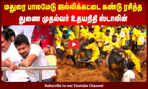 Palamedu Jallikattu | மதுரை பாலமேடு ஜல்லிக்கட்டை கண்டு ரசித்த துணை முதல்வர் உதயநிதி ஸ்டாலின்