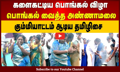 COVAI | களைகட்டிய பொங்கல் விழா - பொங்கல் வைத்த அண்ணாமலை, கும்மியாட்டம் ஆடிய தமிழிசை  | Maalaimalar
