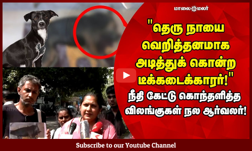 Street Dog|தெரு நாயை வெறித்தனமாக அடித்துக் கொன்ற டீக்கடைக்காரர்! | கொந்தளித்த விலங்குகள் நல ஆர்வலர்!