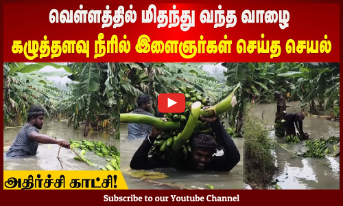 Vaazhai | வெள்ளத்தில் மிதந்து வந்த வாழை | கழுத்தளவு நீரில் இளைஞர்கள் செய்த செயல் | அதிர்ச்சி காட்சி!